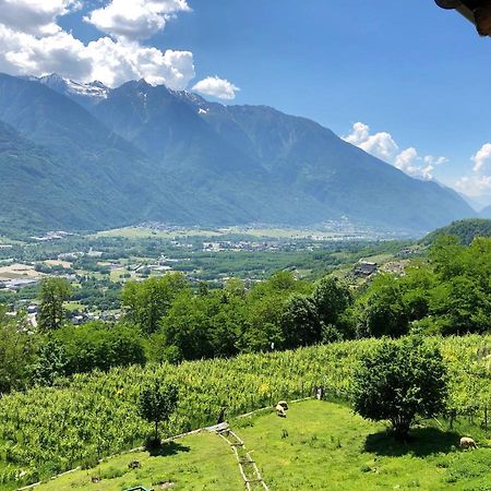 Agriturismo Cavria Castione Andevenno エクステリア 写真