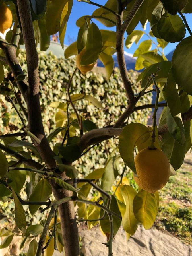 Agriturismo Cavria Castione Andevenno エクステリア 写真