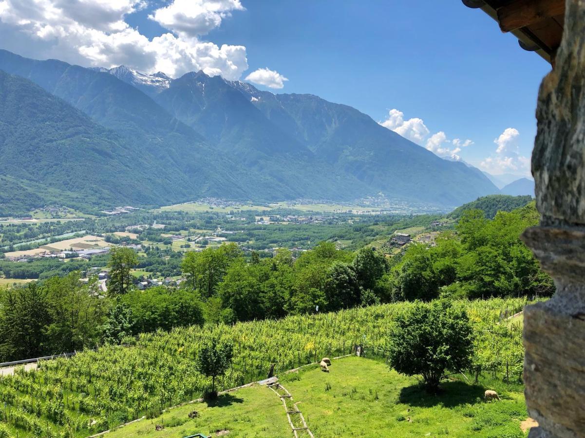 Agriturismo Cavria Castione Andevenno エクステリア 写真